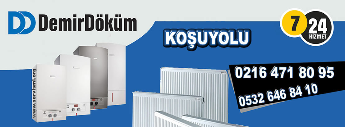 Koşuyolu Demirdöküm Servisi