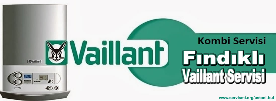 Fındıklı Vaillant Servisi