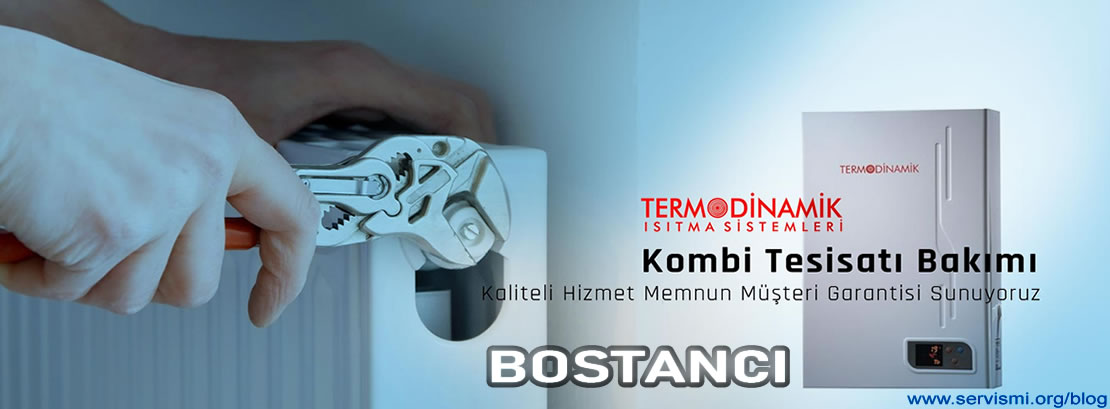 Bostancı Termodinamik Servisi