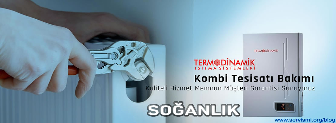 Soğanlık Termodinamik Servisi